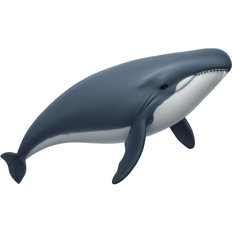 Rhincodon typus whale emoji