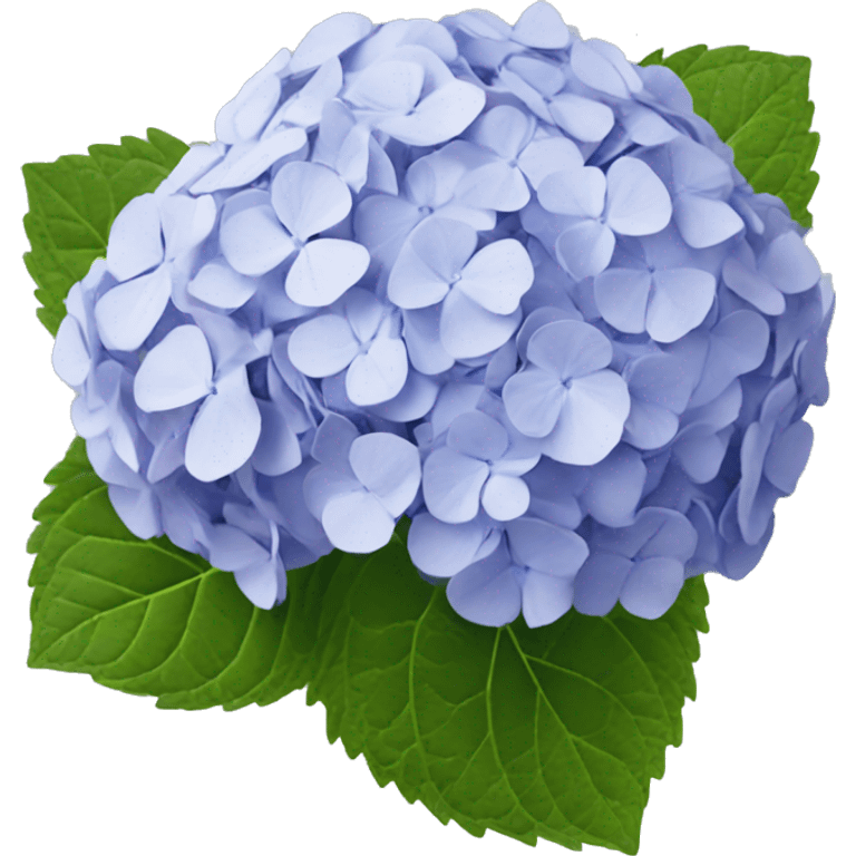 Hydrangea emoji