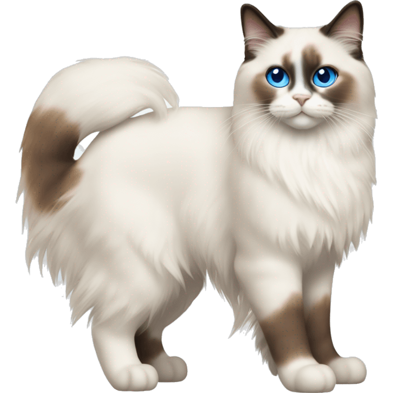 ragdoll cat with orange markings and blue eyes, side view, standing emoji