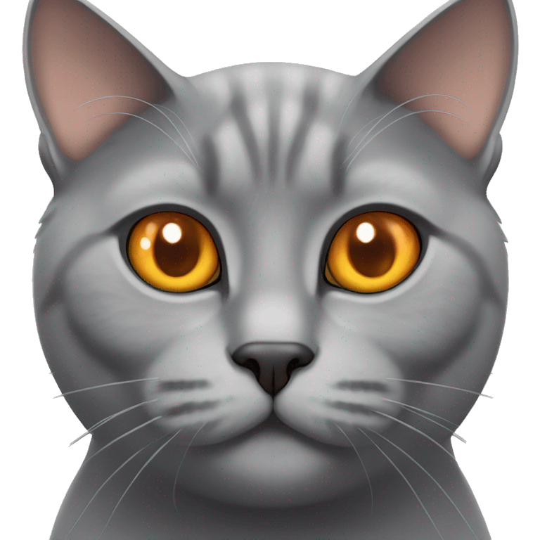 british grey cat orange eyes emoji