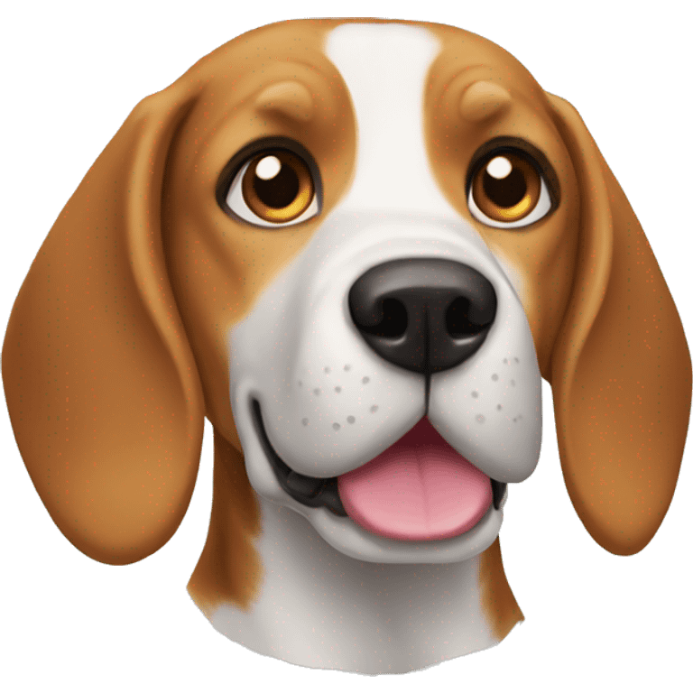 beagle dog named teo emoji