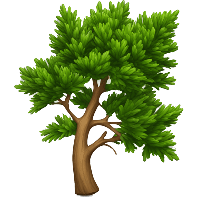 thuja  emoji