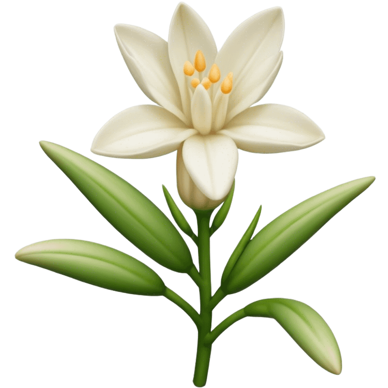 Tuberose emoji