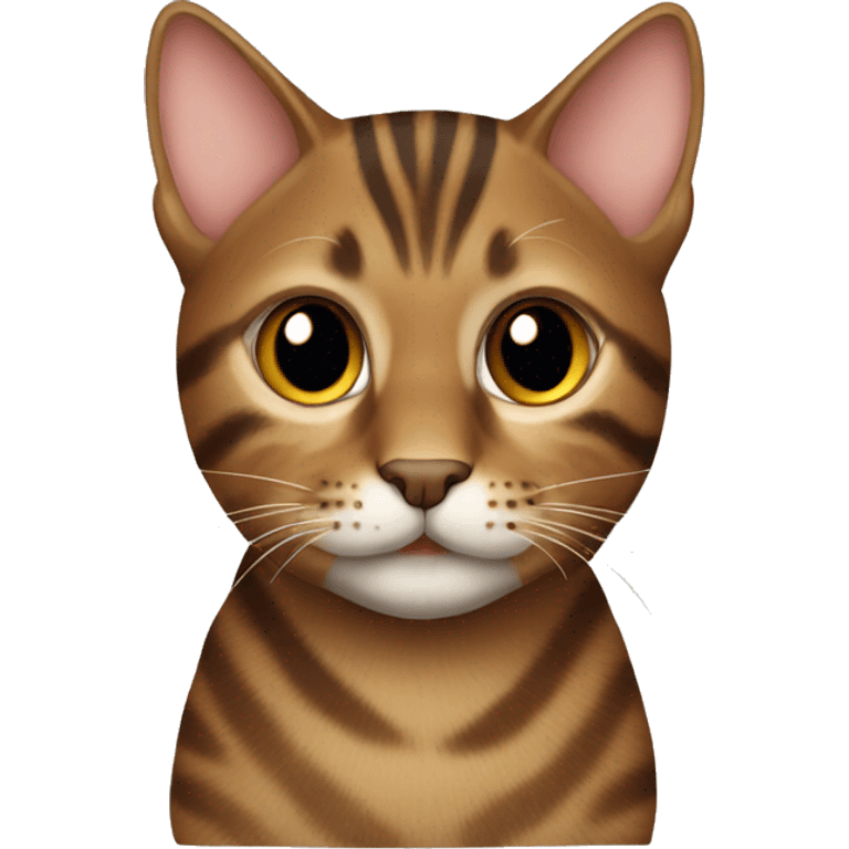 Brown tabby cat  emoji