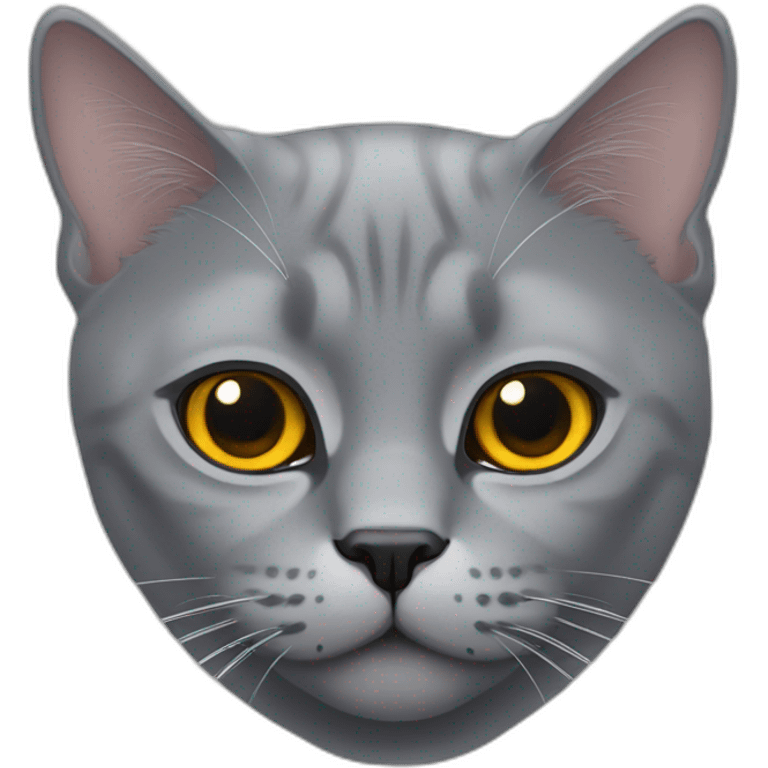 grey british cat with amber eyes emoji