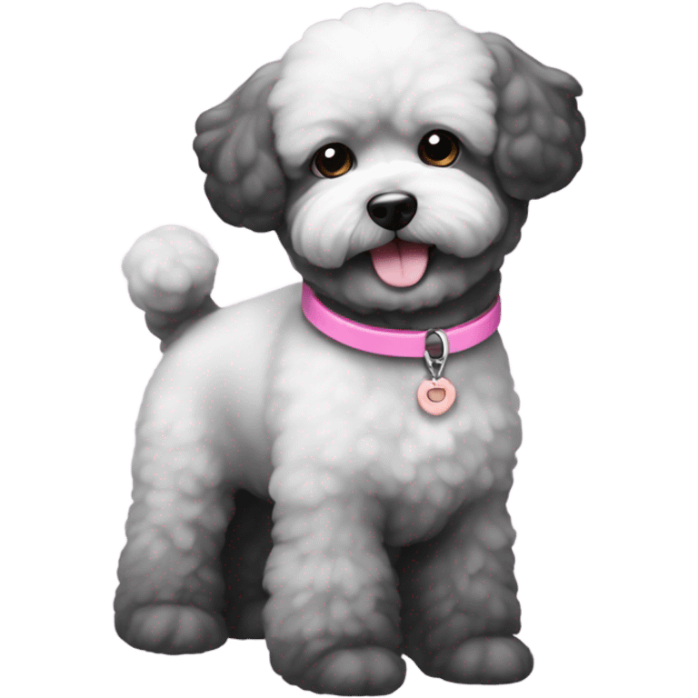 Black bichon dog with the tiniest amount of gray and a pink collar emoji