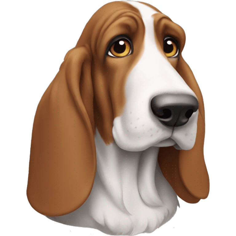 Basset hound  emoji