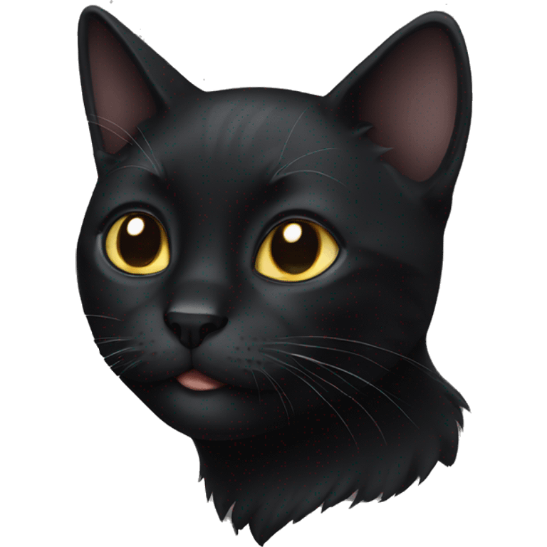 black cat emoji