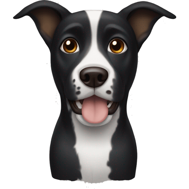 Black dog with white and brown face and white foot emoji