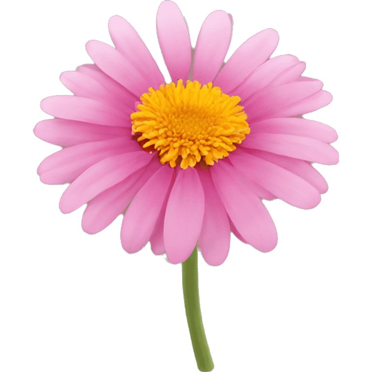 Pink Calendula emoji