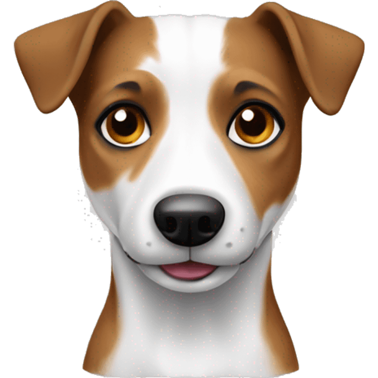 Jack Russel brown and white  emoji