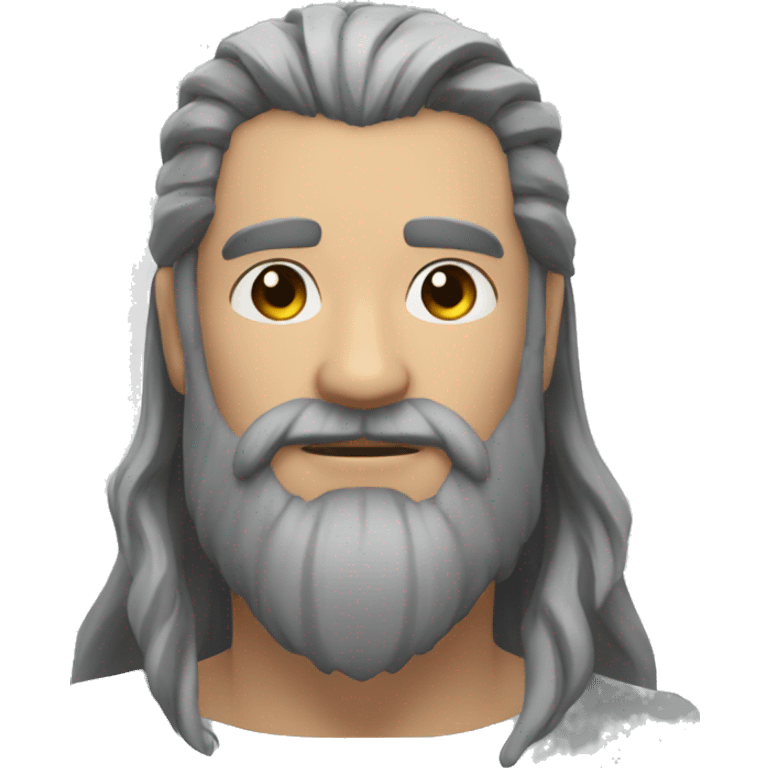 Valheim grey beard, receeding hairline emoji