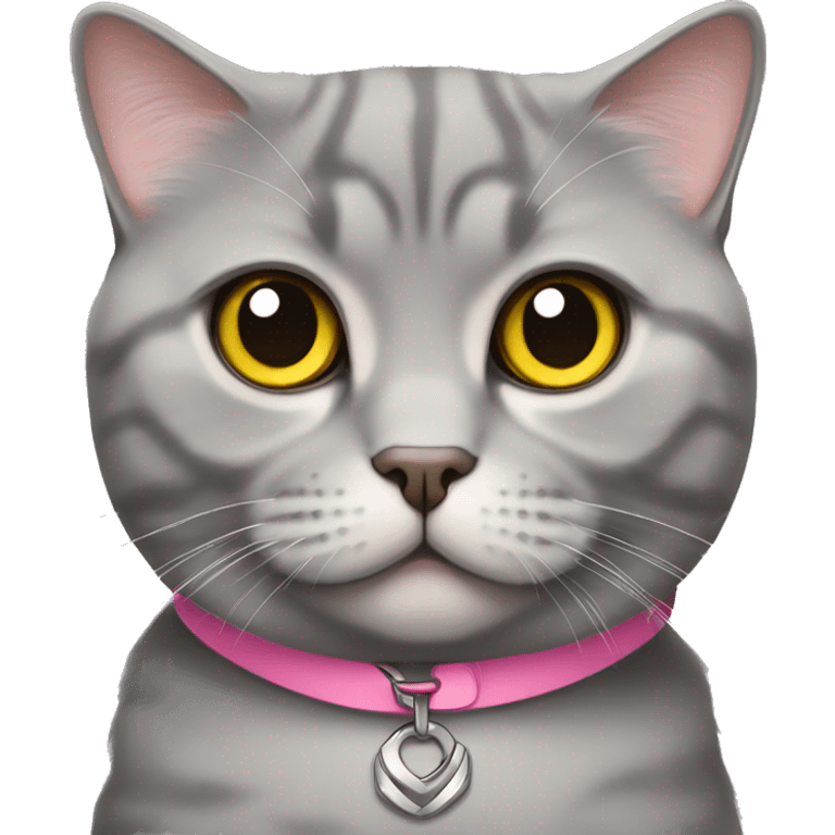 gray scottish fold cat with yellow eyes wearing a pink collar emoji