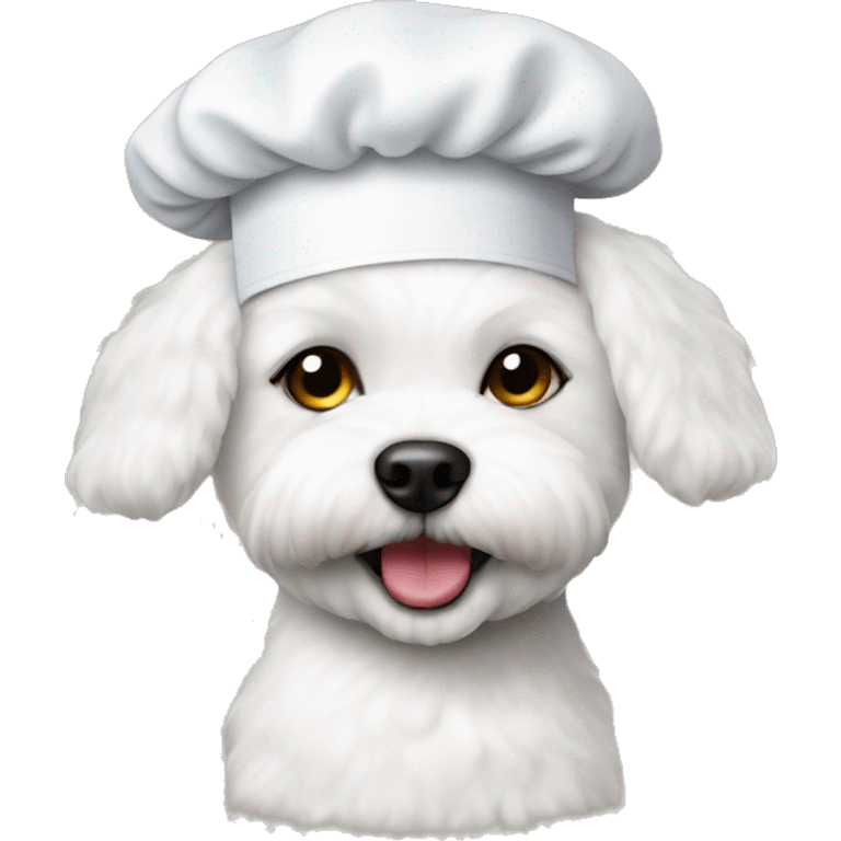 Bichon with chef hat emoji