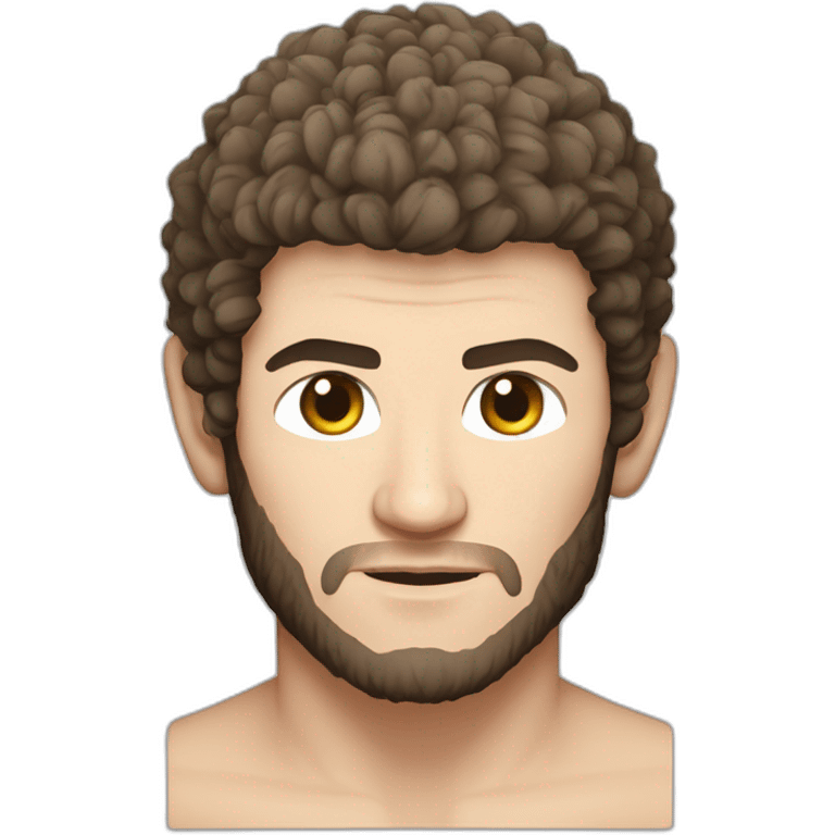 khabib nurmagomedov emoji