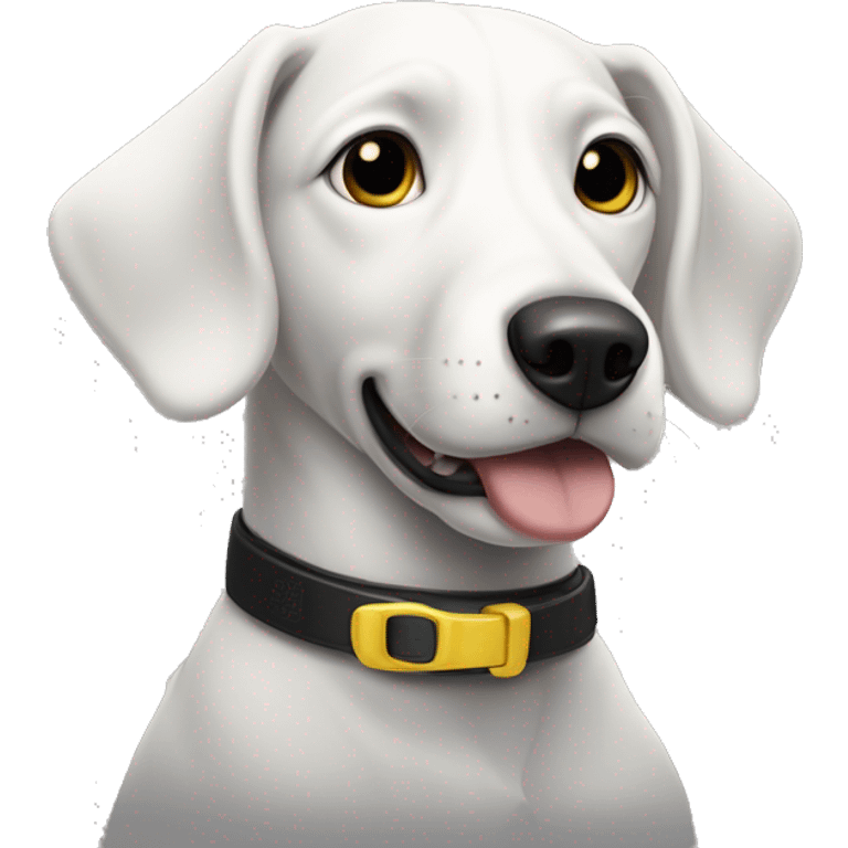 Black and white dog with one slightly floppy ear, and one year higher. She has a yellow collar with a round tag. Her mouth is closed. emoji