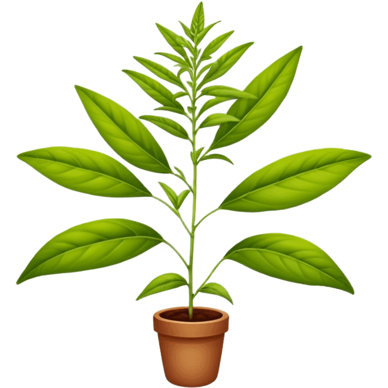 Lemon Verbena emoji