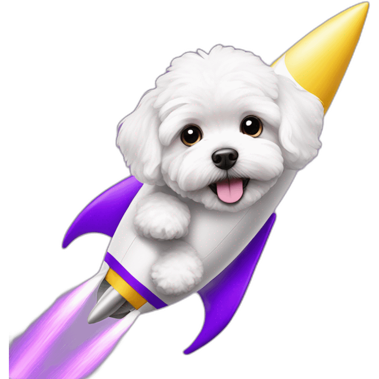 a white maltipoo on a purple rocket emoji