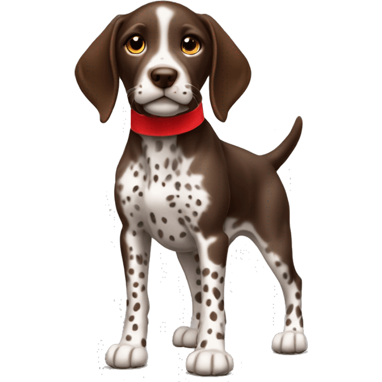 Brown spotted German short haired pointer puppy with ticking with red collar  emoji