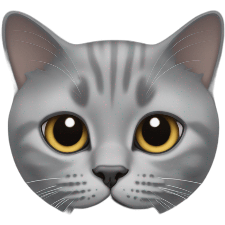 British Shorthair cat peaking emoji