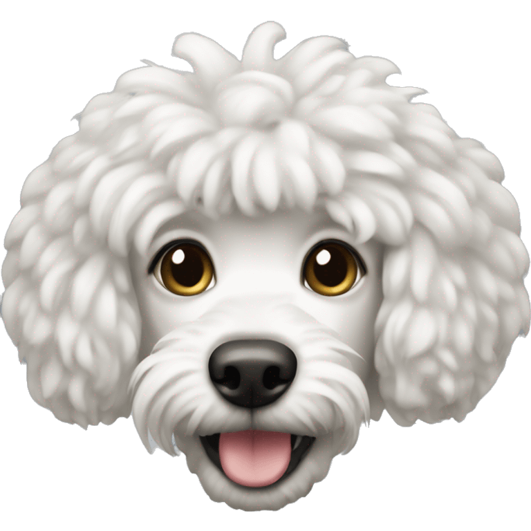 caniche blanco emoji emoji