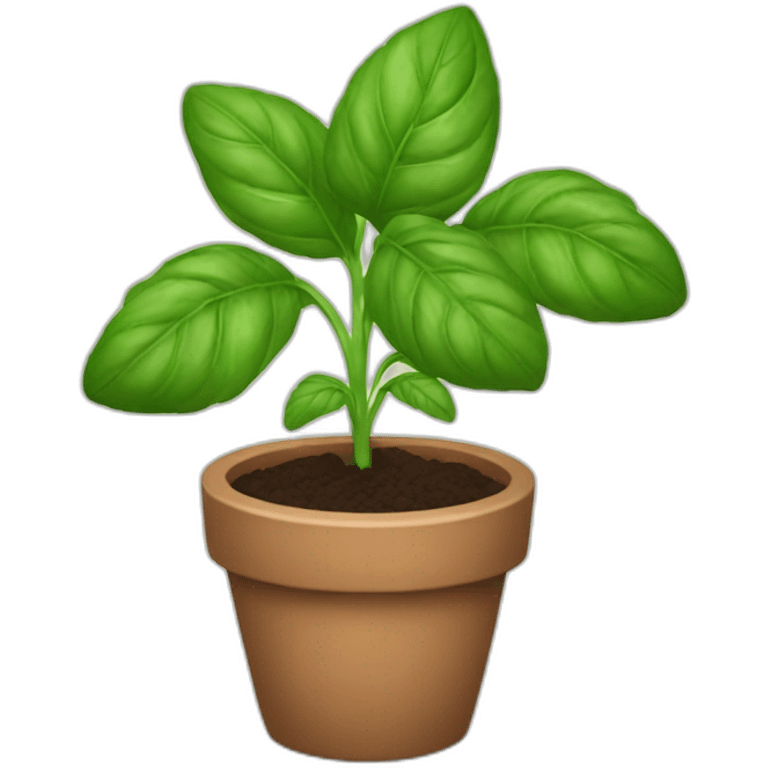 Basil plant emoji