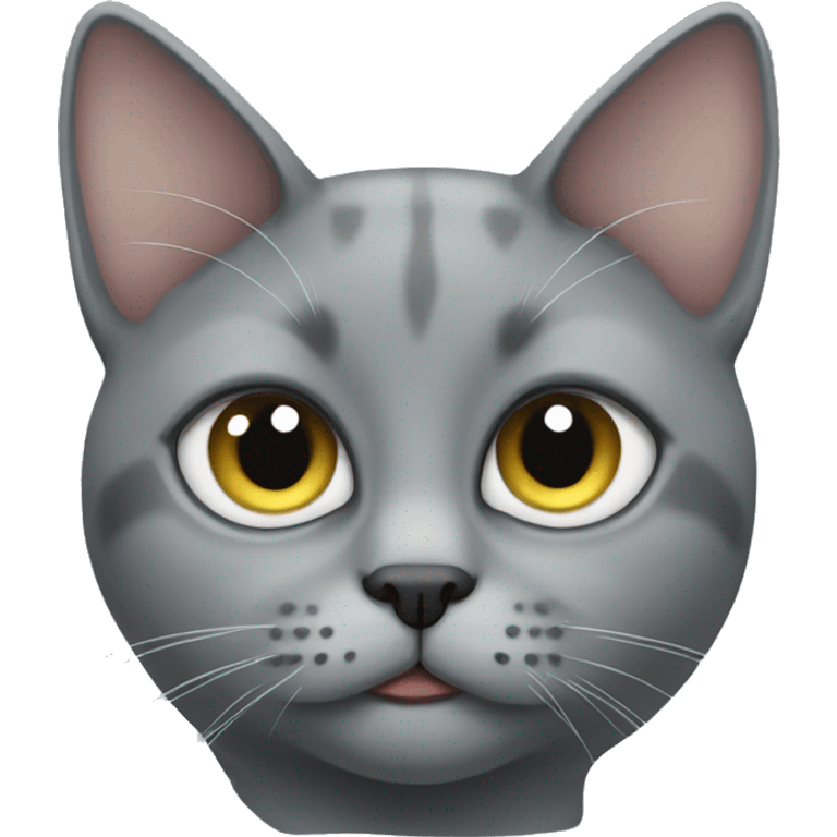 One-eyed gray cat emoji