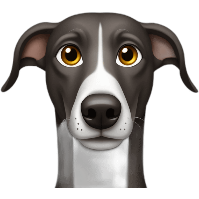 Dark brown greyhound with some grey hairs emoji