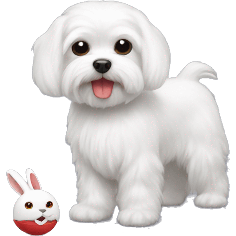 white maltese with small toy of red rabbit emoji