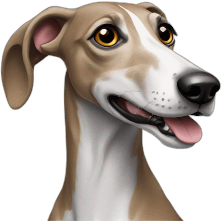 galgo feliz emoji