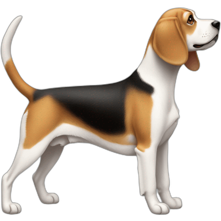 beagle，full body，lateral view emoji