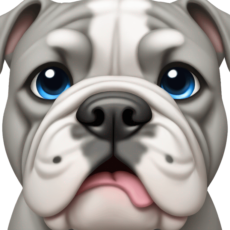 grey english bulldog with blue eyes emoji