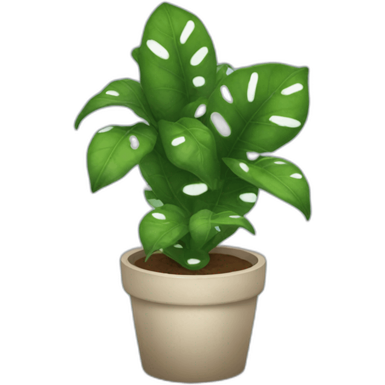 scindapsus moonlight plant emoji