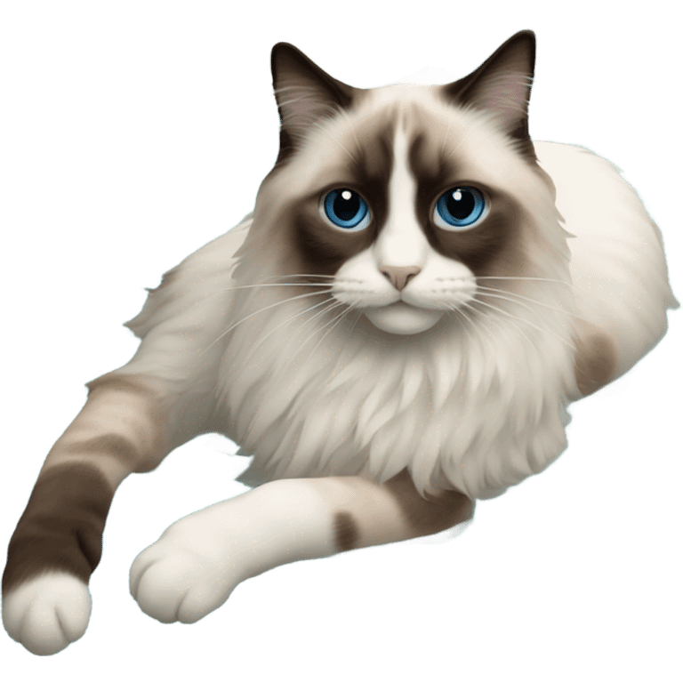 Ragdoll cat swimming pool emoji