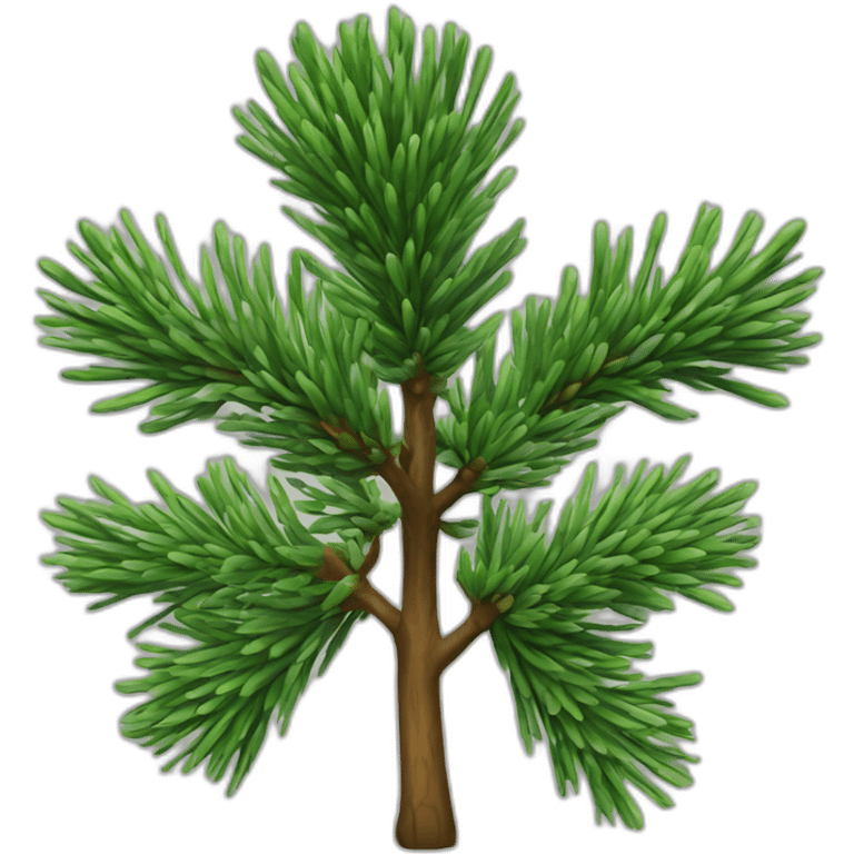 pinus pinera emoji