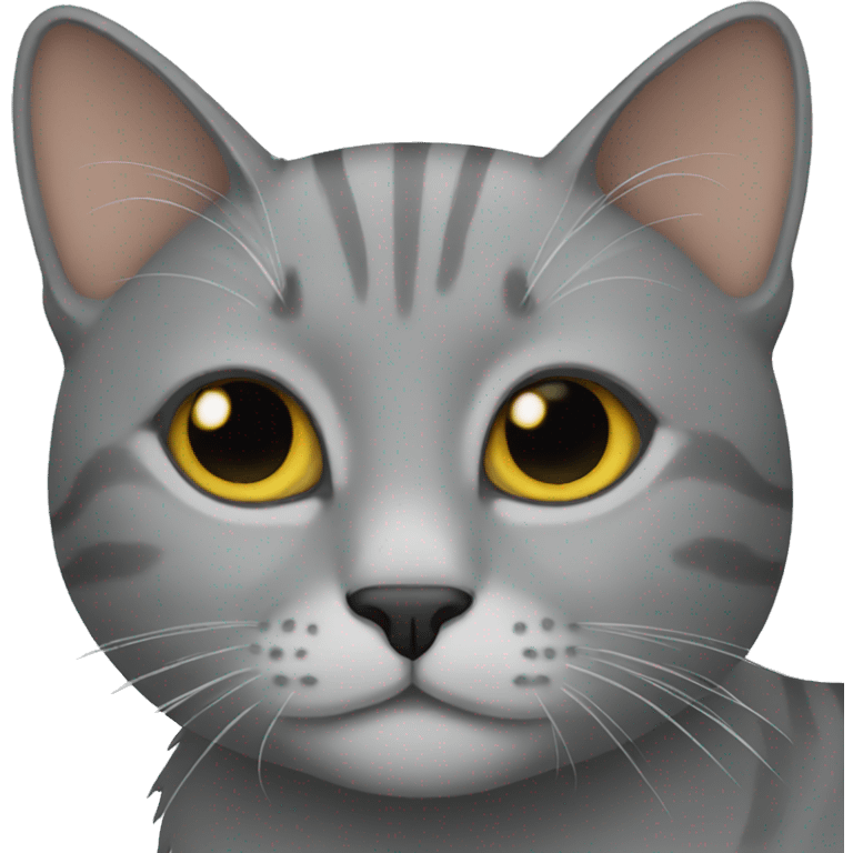 grey cat emoji