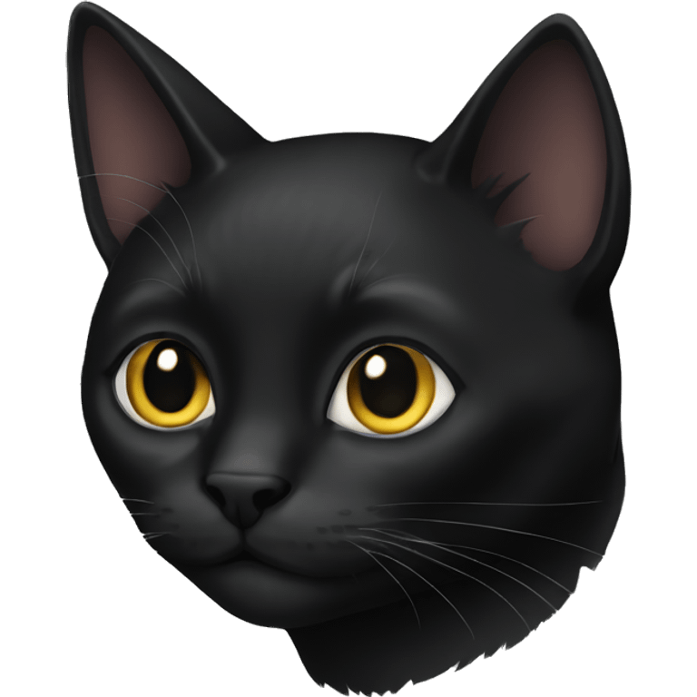 black cat emoji