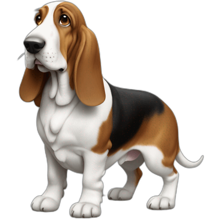 Basset épagneul emoji