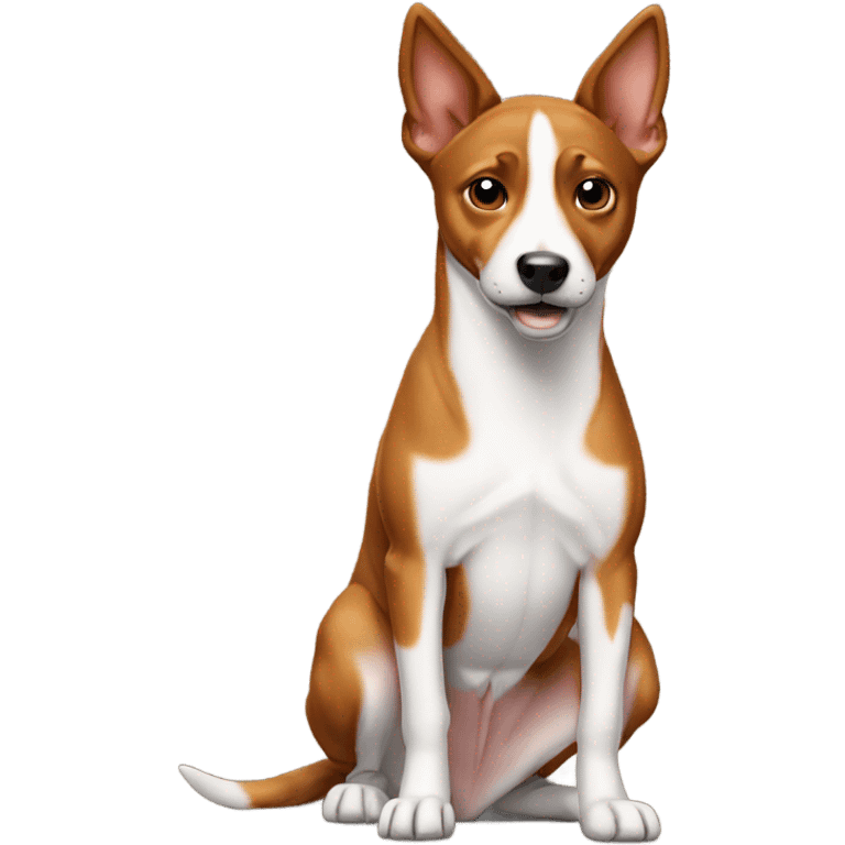 Basenji shrugging emoji