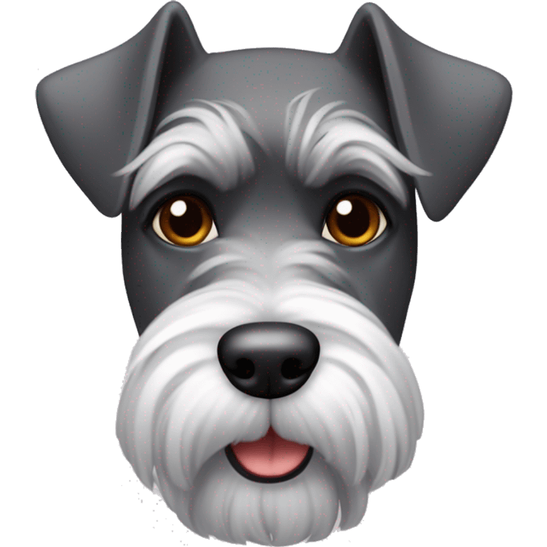 schnauzer nano con una felpa rossa emoji