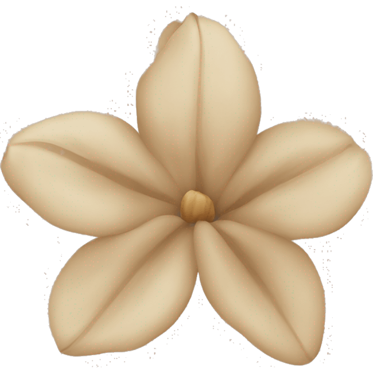 beige flower petal emoji