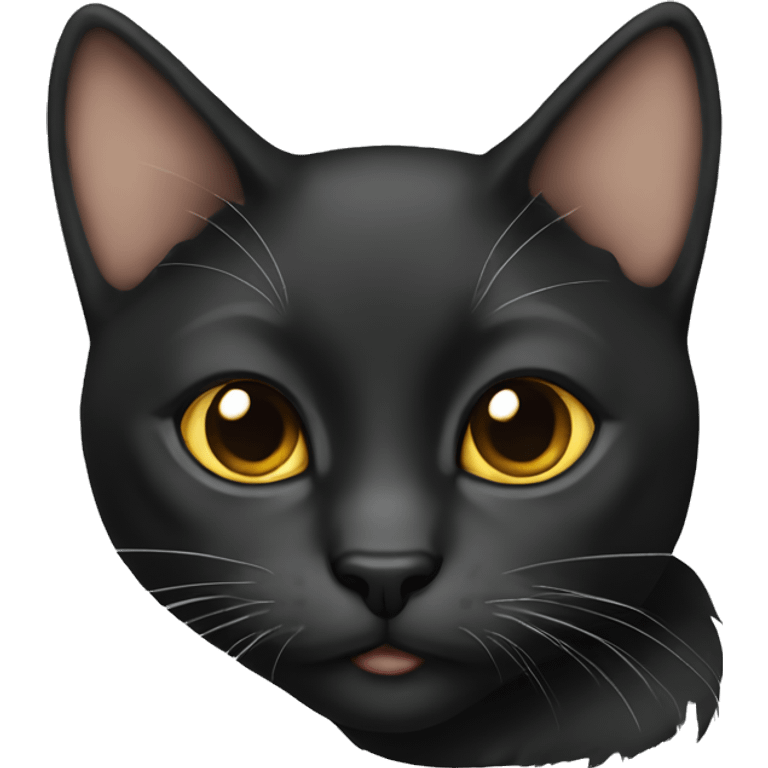 Cat Black  emoji