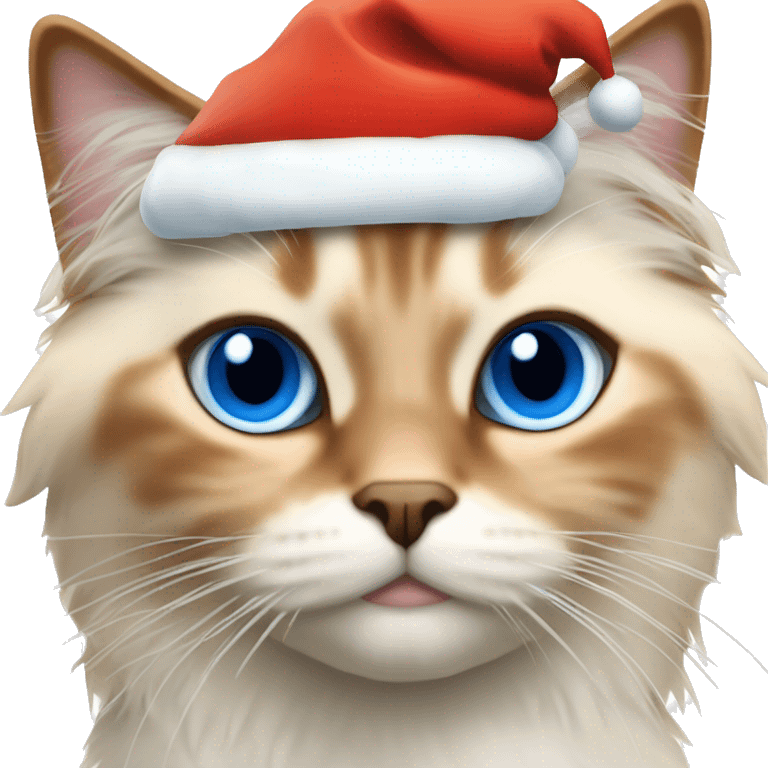 Orange bicolor ragdoll cat with blue eyes wearing a Santa hat  emoji