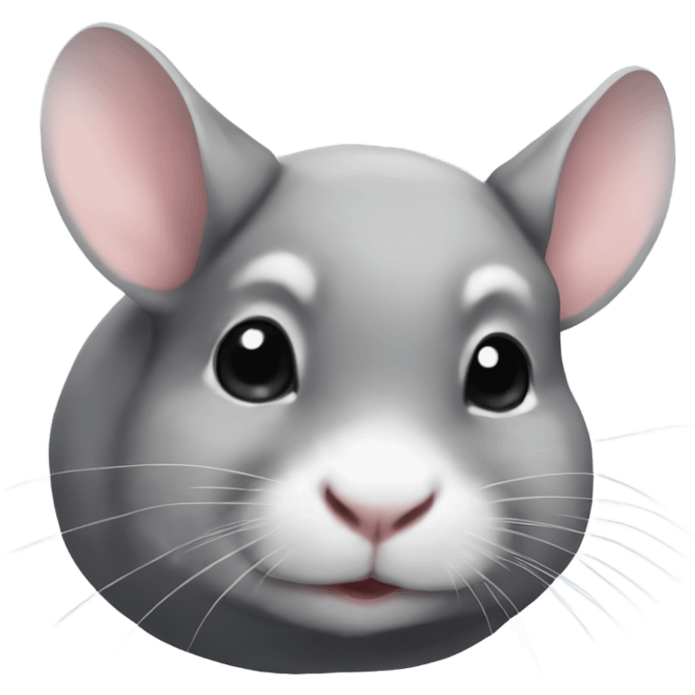 Chinchillas  emoji