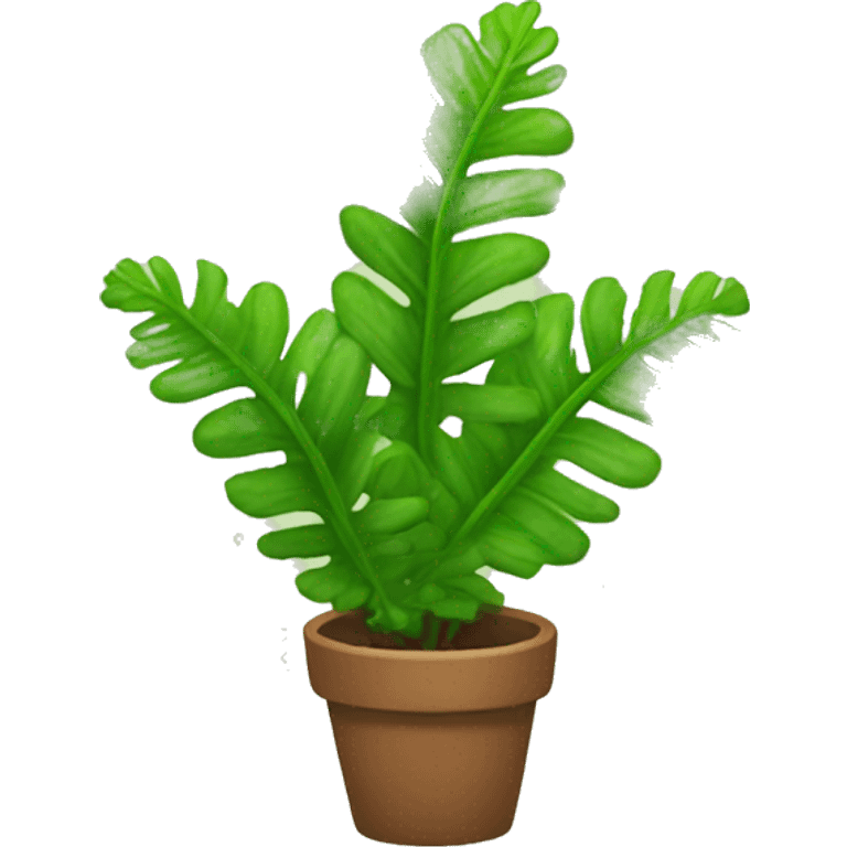 asplenium plant emoji