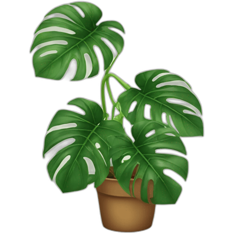 Monstera plant emoji