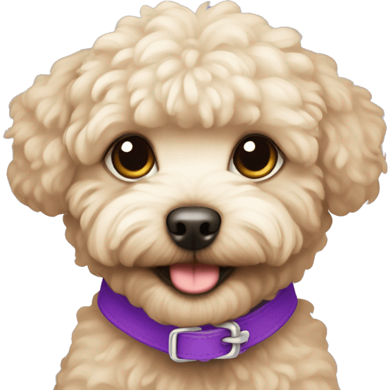 beige maltipoo with a purple collar emoji