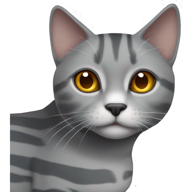 Grey cat with white stripes with amber eyes Scottish breed emoji