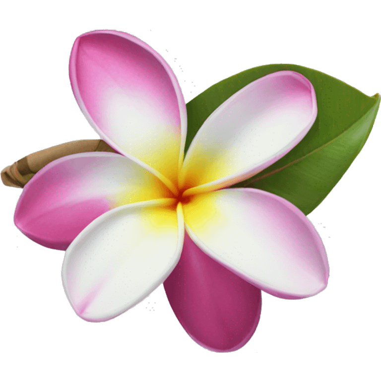 frangipani flower emoji