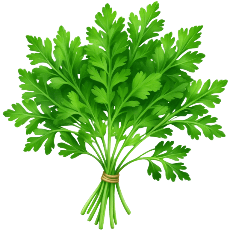 Cinematic Realistic Parsley Emoji, Fresh and vibrant, with bright green, frilly leaves that seem to shimmer with vitality. The plant exudes a sense of healthy growth and aromatic zest, inviting both beauty and flavor into any dish. Soft glowing outline, capturing the essence of freshness, health, and culinary delight in a sprig of parsley! emoji